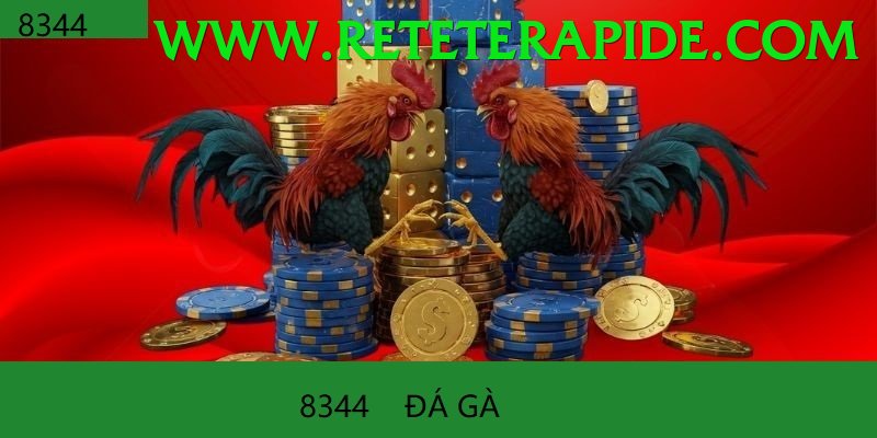 Đá Gà Trực Tiếp - okvnd